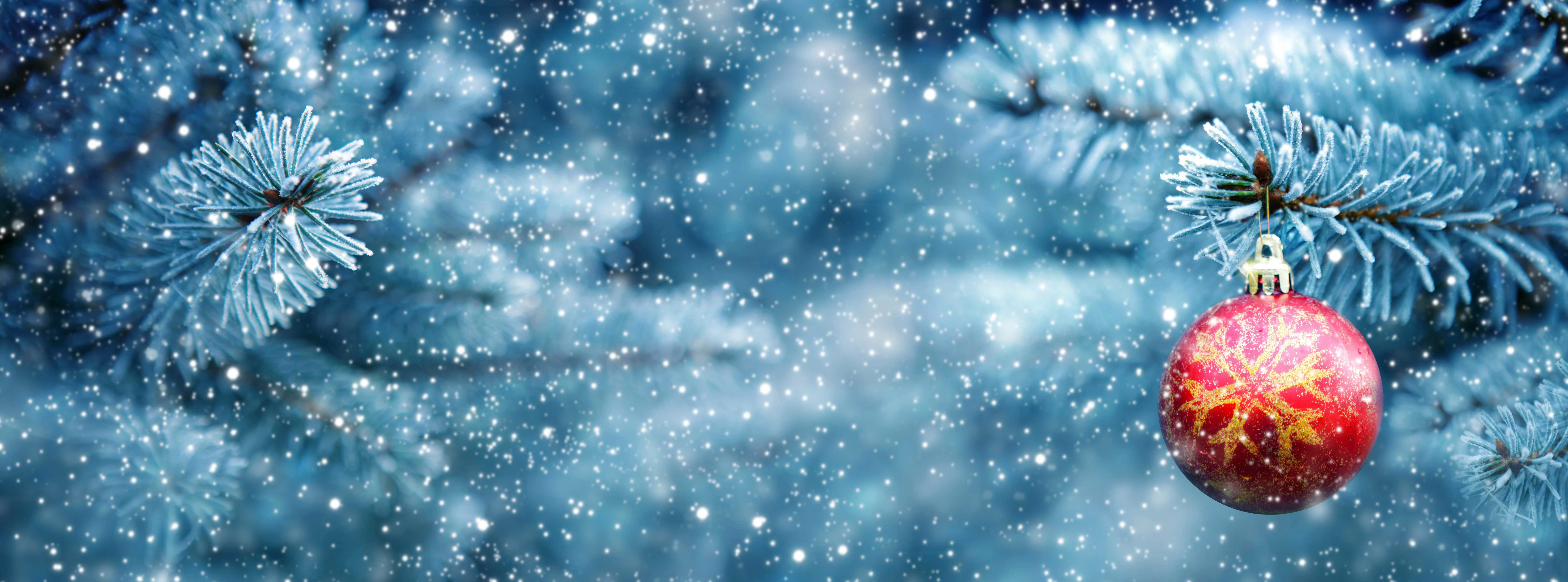 Adobestock 303001620 Kleiner
