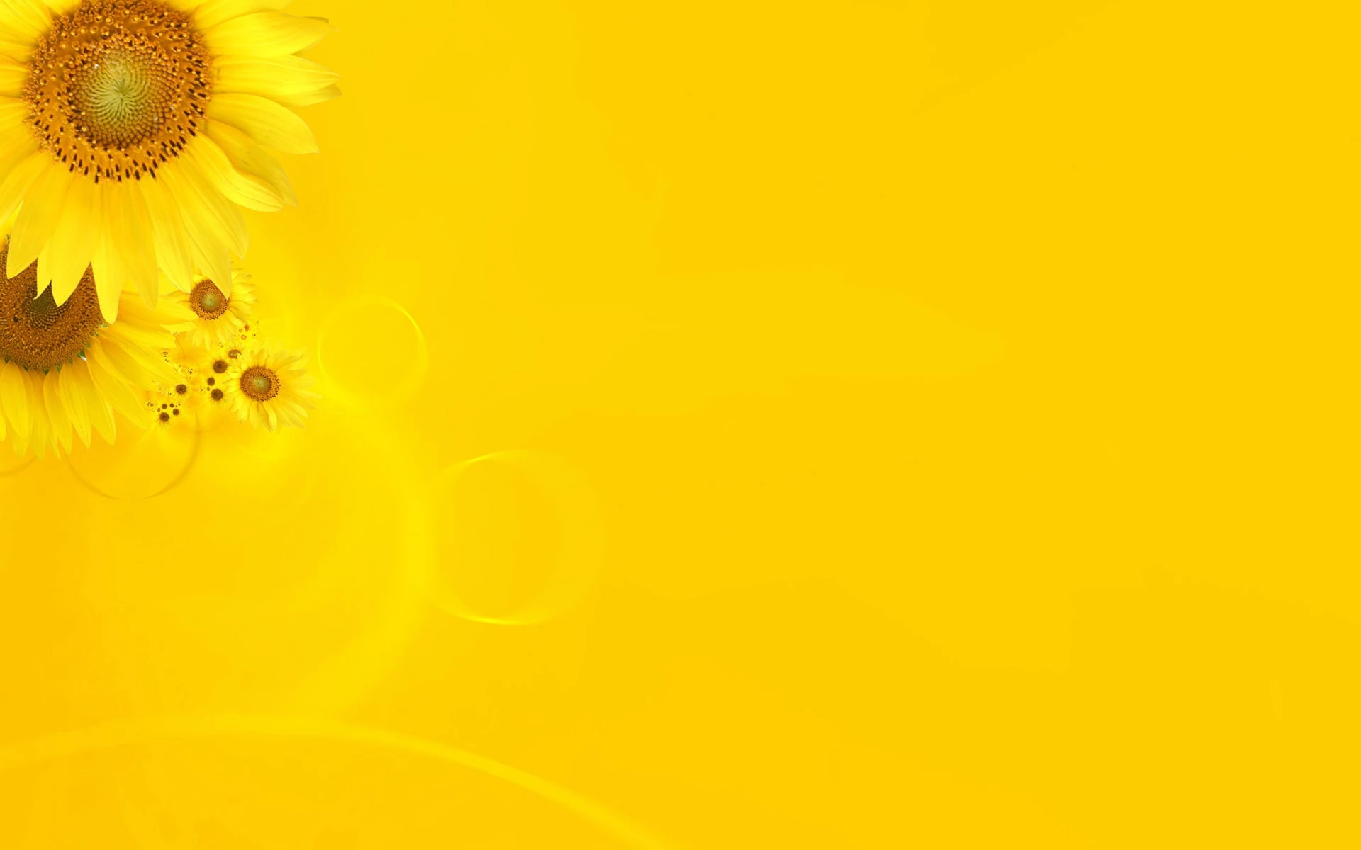 member_header.jpg