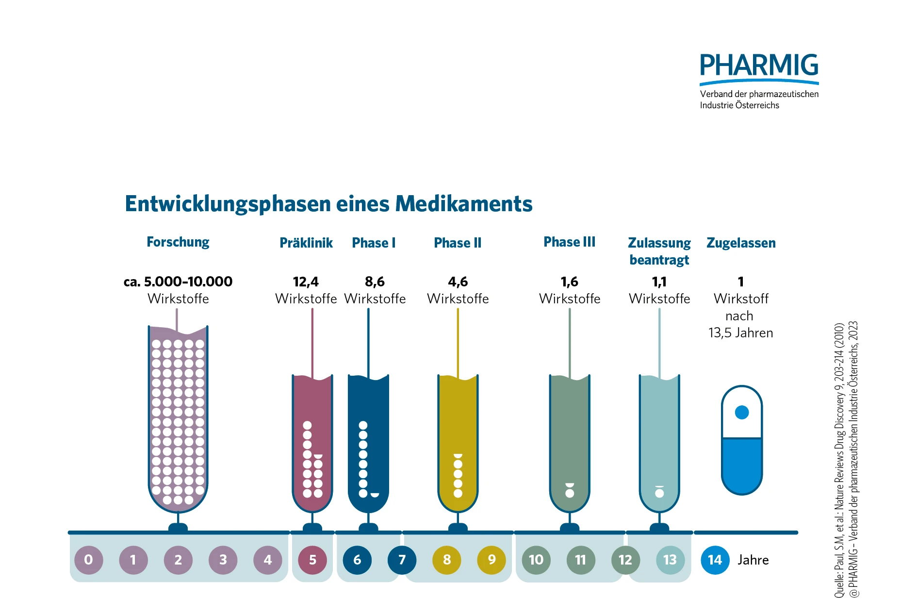 2.2 Entwicklungsphasen eines Medikaments.jpg