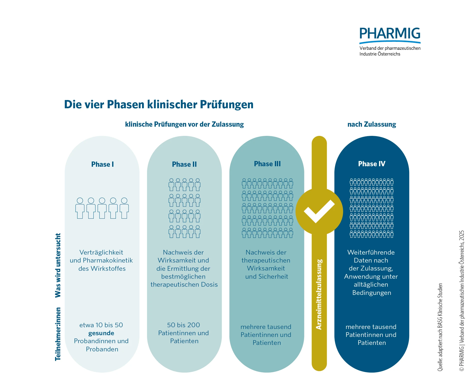 2.2 Vier Phasen Klinischer Prüfungen