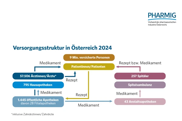 1.6 Versorgungsstruktur in Österreich 2024.jpg